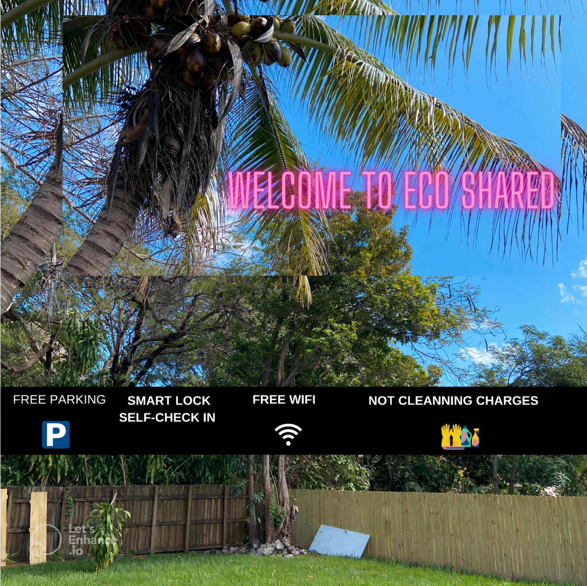 Parnasus Wynwood Hostel Miami Exterior photo
